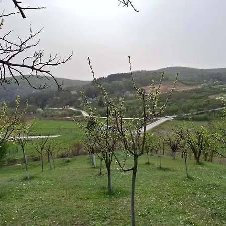 Appartement Panorama