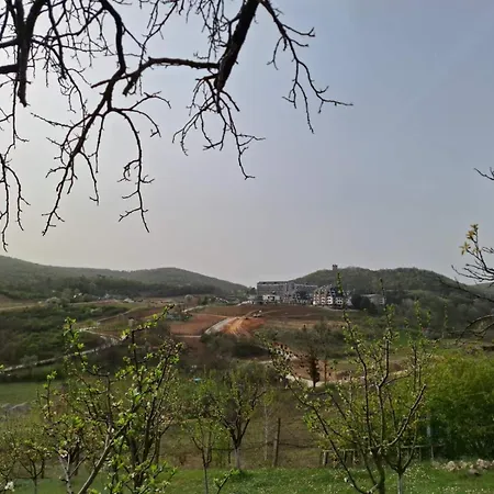 Panorama *