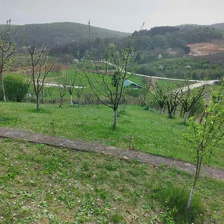 Panorama *